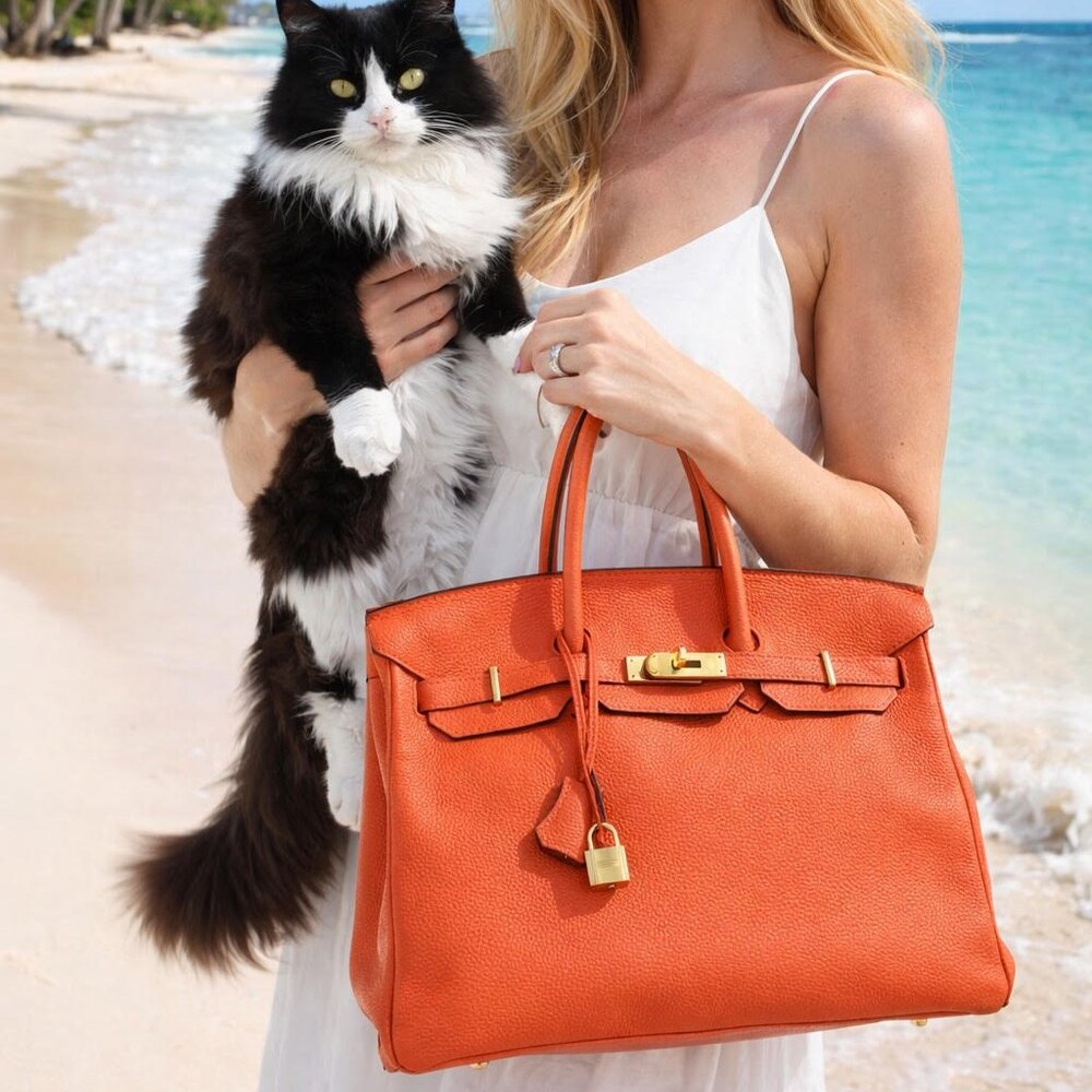 Hermes Birkin 35 Handbag Orange Poppy Togo with Gold Hardware